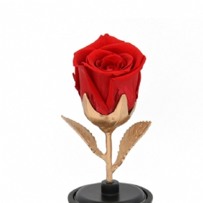 Örök Virágok Selyemrózsa Forgatható Zenedoboz Üveggel Feleségnek Szeretőnek Barátnőnek Házassági Évfordulós Születésnapi Ajándék