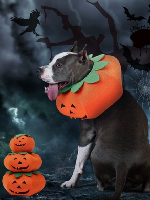 Halloween Pumpkin Kutya Öltöztetős Többfunkciós Nyakörv Kisállat Macska Party Transformation Jelmez